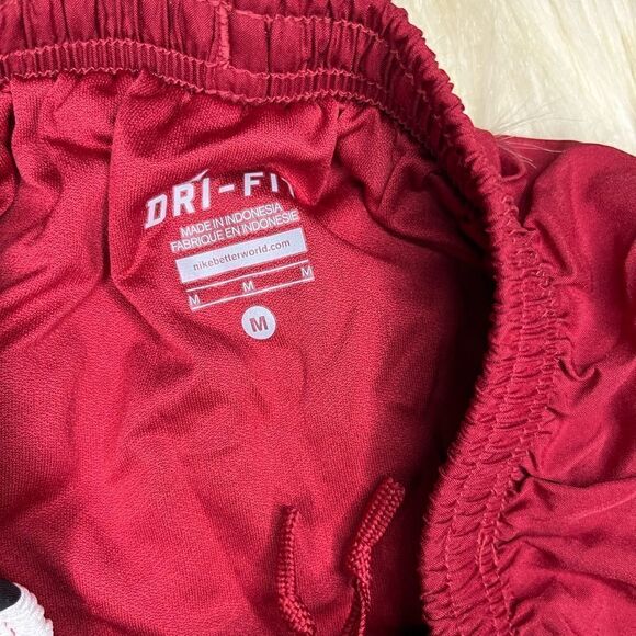 Nike University of Alabama athletic running shorts sz medium - Picture 2 of 6